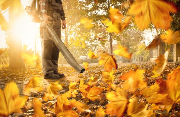 Cost of Leaf Blowing Service in Pottstown