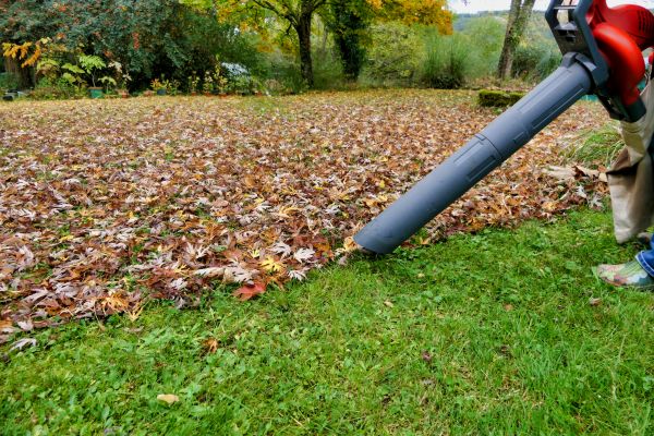 Cost of Leaf Vacuuming Service in Pottstown