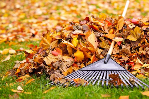 Cost of Leaves Removal in Pottstown