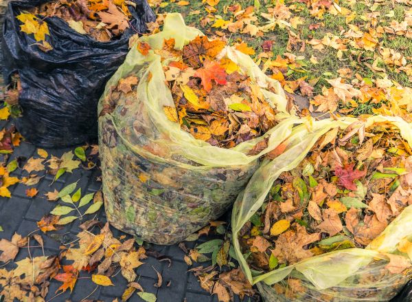 Cost of Yard Cleanup Service in Pottstown