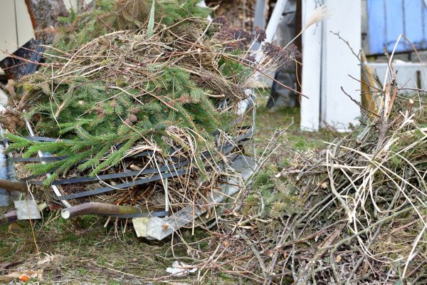 Cost of Yard Debris Removal in Pottstown
