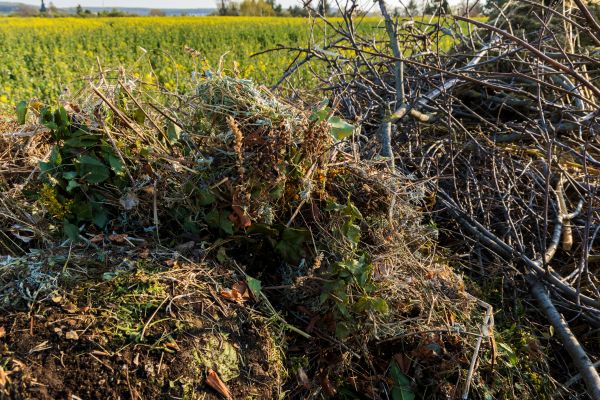Cost of Brush Disposal in Pottstown