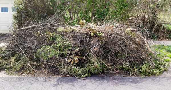Cost of Tree Limb Cleanup in Pottstown