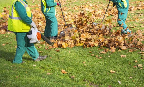 Cost of Leaf Maintenance in Pottstown