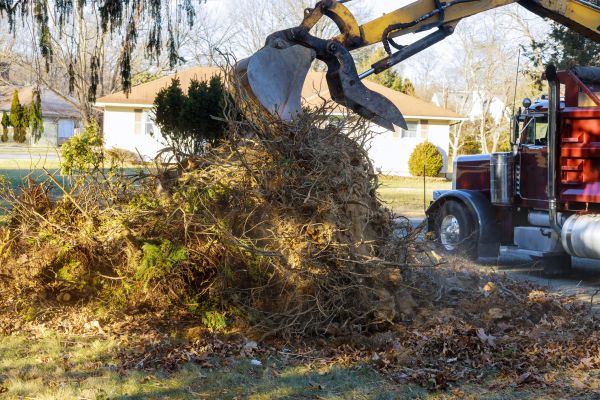Cost of Storm Debris Removal in Pottstown