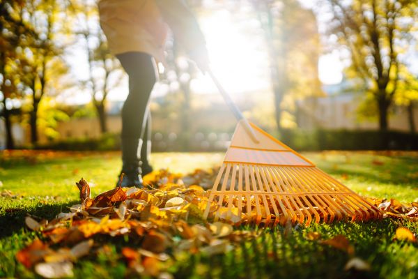 Cost of Leaves Raking in Pottstown