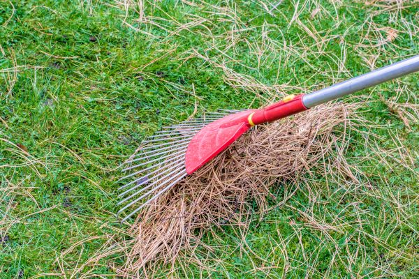Cost of Yard Raking in Pottstown