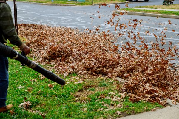 Cost of Garden Leaf Removal in Pottstown