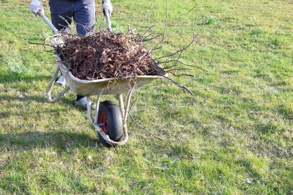 Cost of Yard Brush Removal in Pottstown