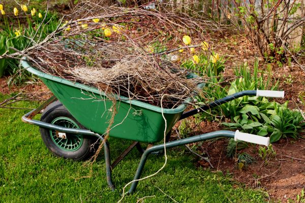 Cost of Lawn Waste Removal in Pottstown
