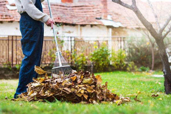 Cost of Fall Yard Cleanup Service in Pottstown
