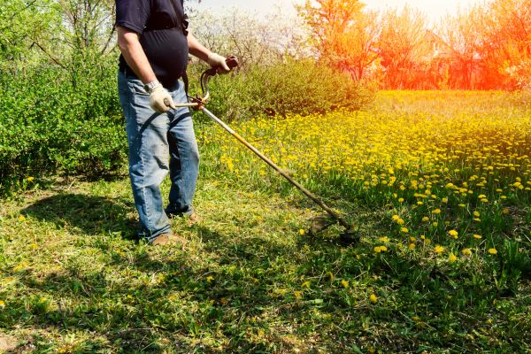 Cost of Yard Clearing Service in Pottstown