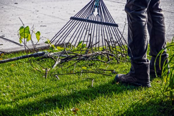 Cost of Yard Debris Cleanup in Pottstown