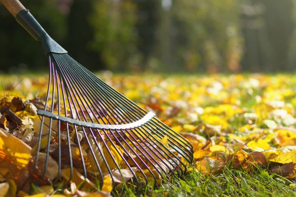 Cost of Leaf Removal in Pottstown