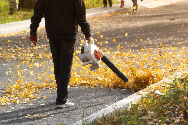 Cost of Commercial Leaf Removal in Pottstown