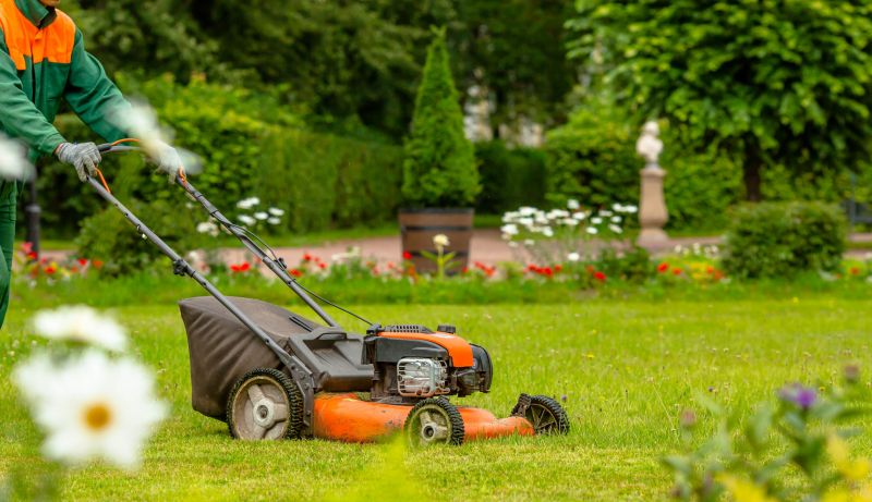Spring Lawn Cleanup