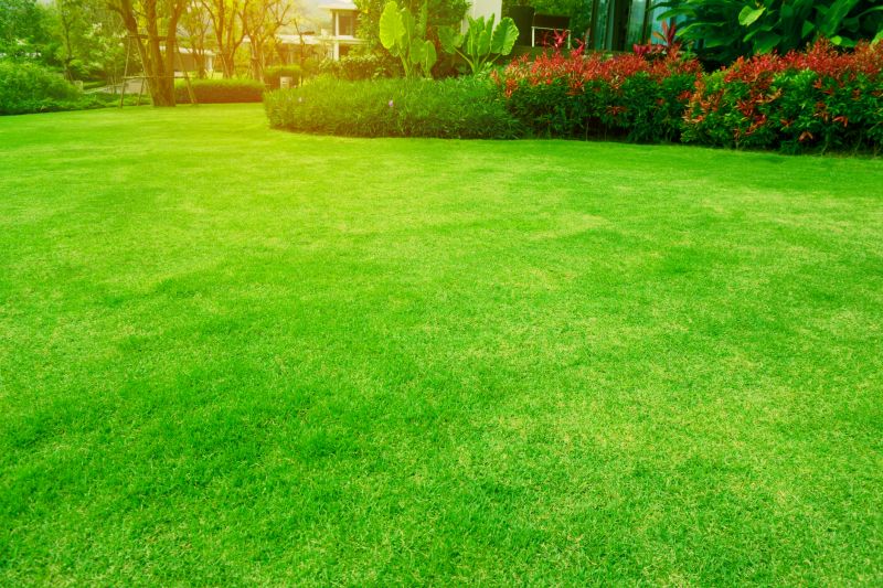 Healthy, Well-Maintained Lawn