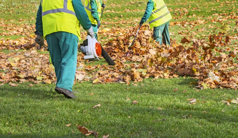Leaf Raking Service